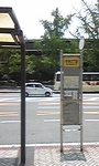 140623_113203.jpg