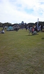 150922_141103.jpg