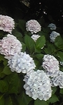 170620_094652.jpg