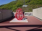 DSC_2955-thumbnail2.jpg