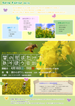 菜の花ばたけであそぼう会2015.jpg