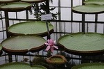 IMG_5670.jpg