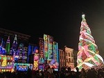 IMG_9203.jpg